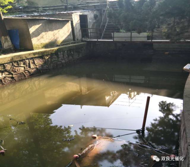 長江環(huán)保集團：當好“水管家” 助力六安開啟治水新局面