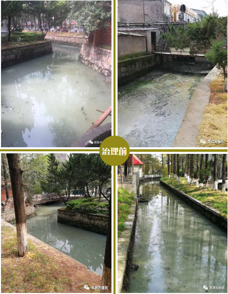 6.2億元！海南省五指山市昌化江上游濱河雨林生態(tài)修復(fù)（南圣至通什段）綜合治理項(xiàng)目資格預(yù)審