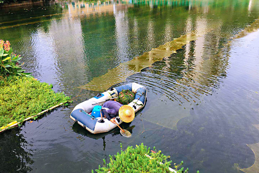 廣東省深圳市辛養(yǎng)魚塘-<a href=http://m.zfojg.cn target=_blank class=infotextkey>水生態(tài)修復(fù)</a>示范項目