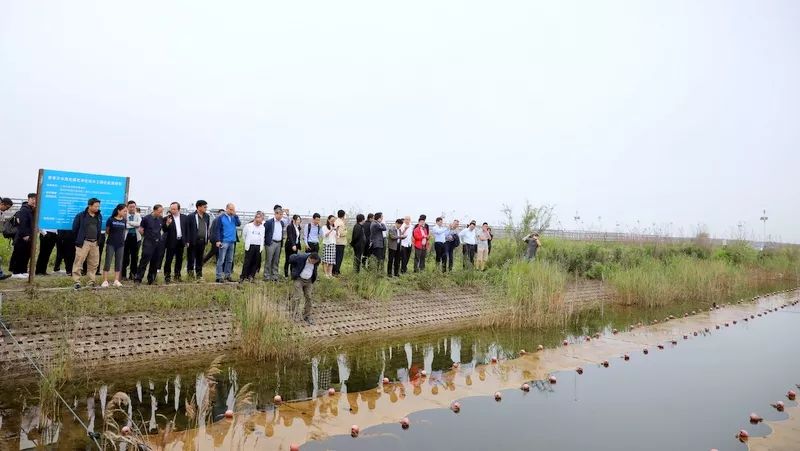 中國第一大城市飲用水<a href=http://m.zfojg.cn/yysyd/ target=_blank class=infotextkey>水源地治理</a>技術(shù)突破