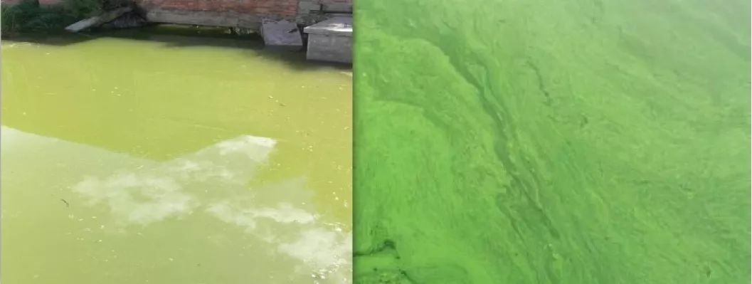 14方聯(lián)合體通過資格預(yù)審 江蘇泰州市海陵區(qū)城市生態(tài)水環(huán)境治理PPP項(xiàng)目資格預(yù)審結(jié)果公告