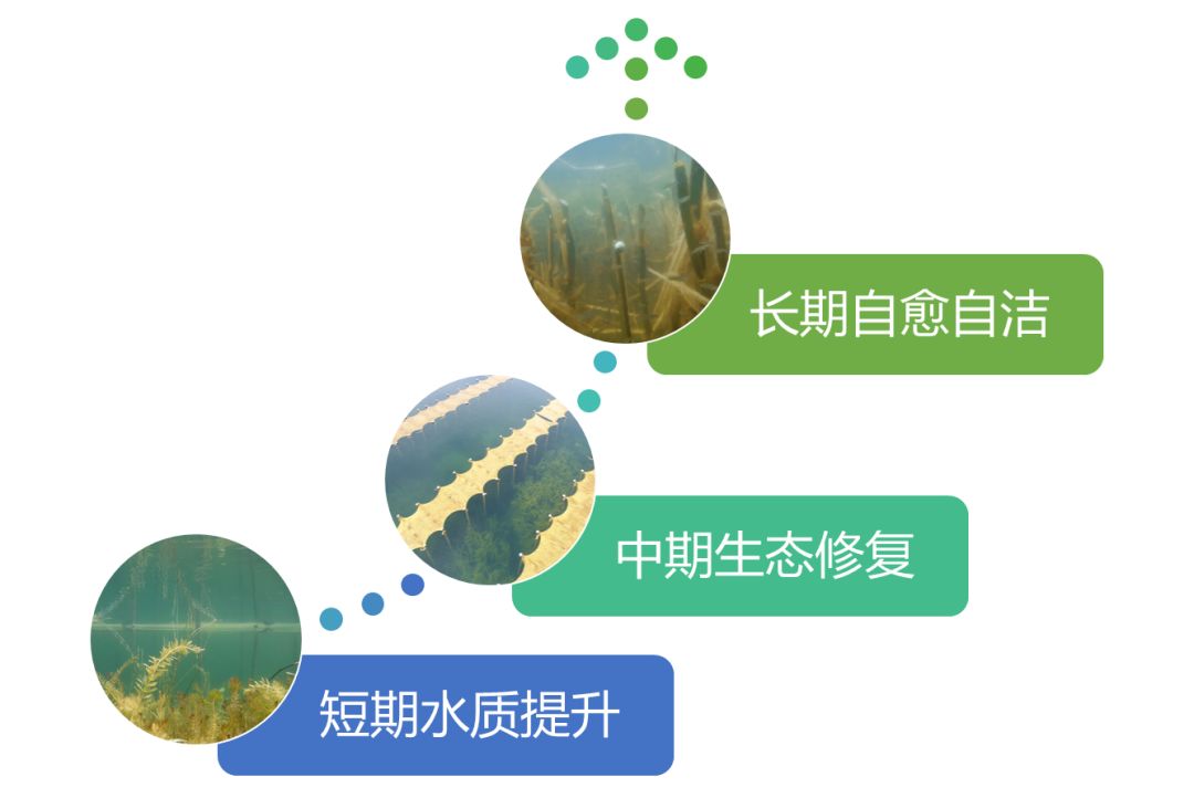 2020<a href=http://m.zfojg.cn target=_blank class=infotextkey><a href=http://m.zfojg.cn target=_blank class=infotextkey>雙良</a>環(huán)境</a>春招開啟