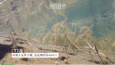 浦東新區(qū)領導視察康橋鎮(zhèn)中小河道整治工作